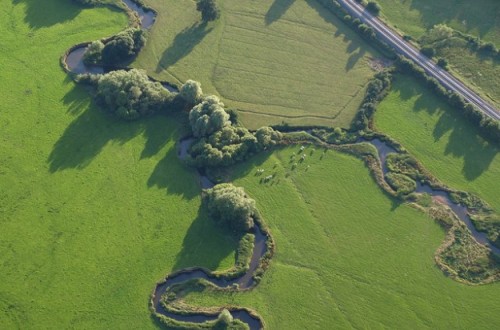 river culm from above